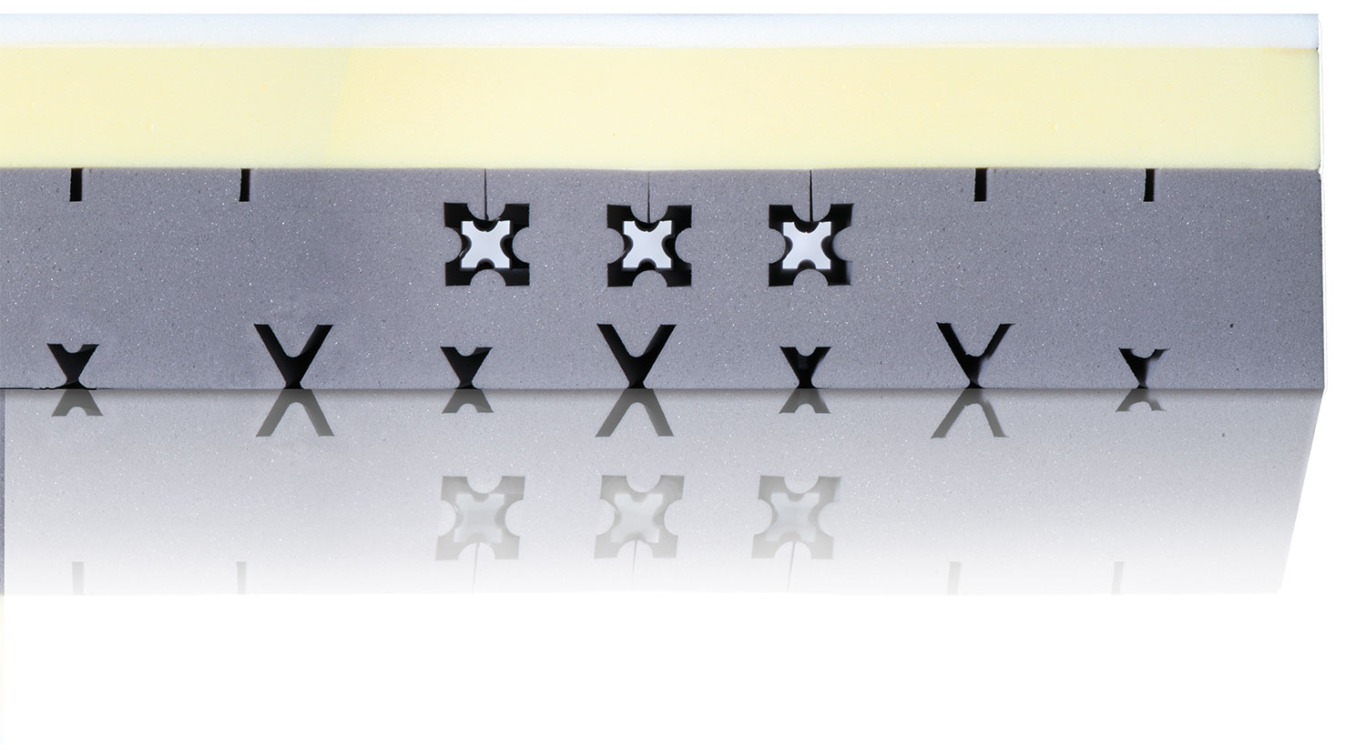 DERMAPUR-Premium Kern