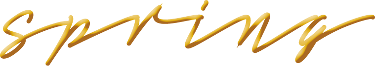 Logo Matratze Spring